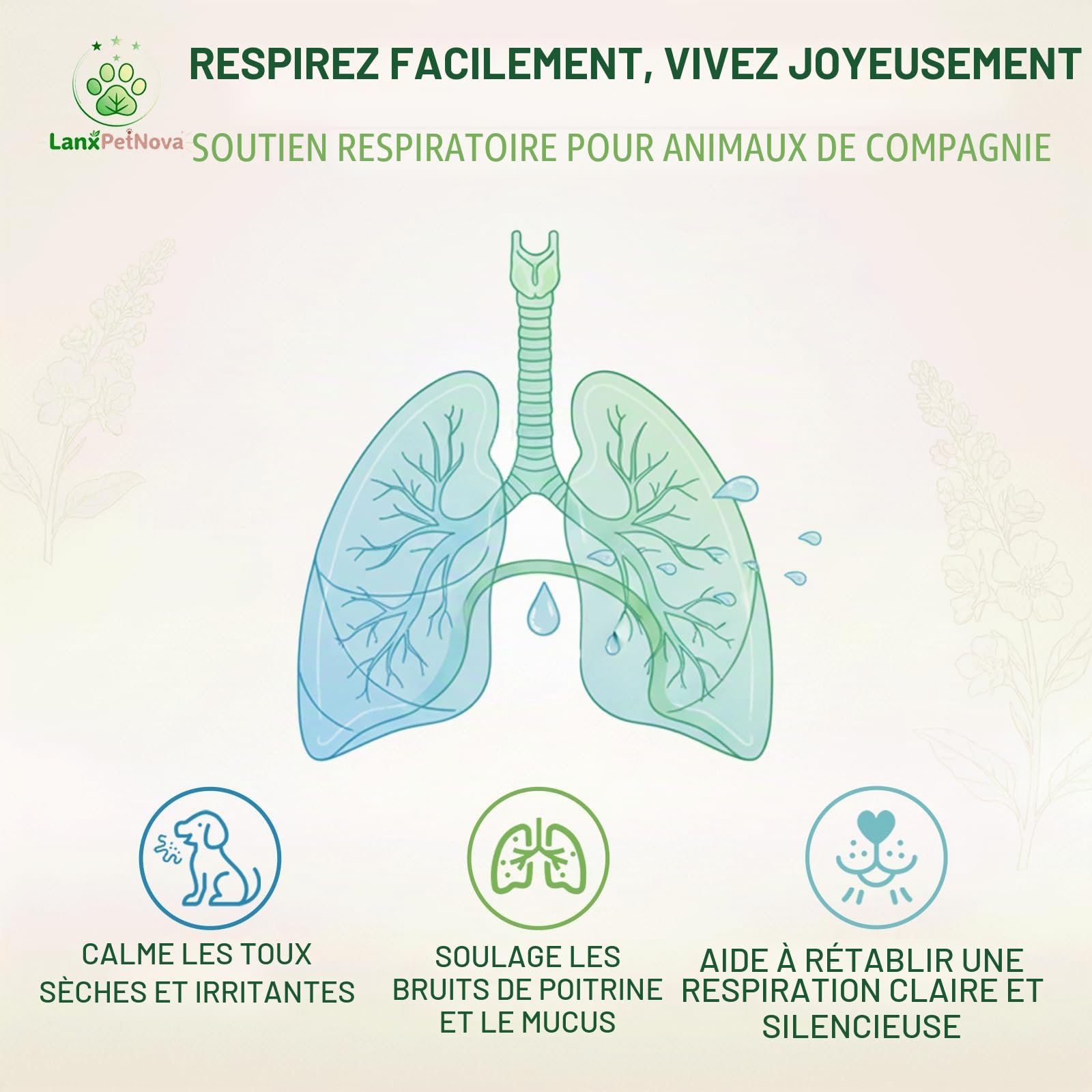 Gouttes de molène, Soutien pulmonaire et antitussif pour Chiens et Chats. Atténue la toux de chenil, la toux sèche et grasse, nettoie Les poumons,apaise la Gorge irritée et facilite la Respiration