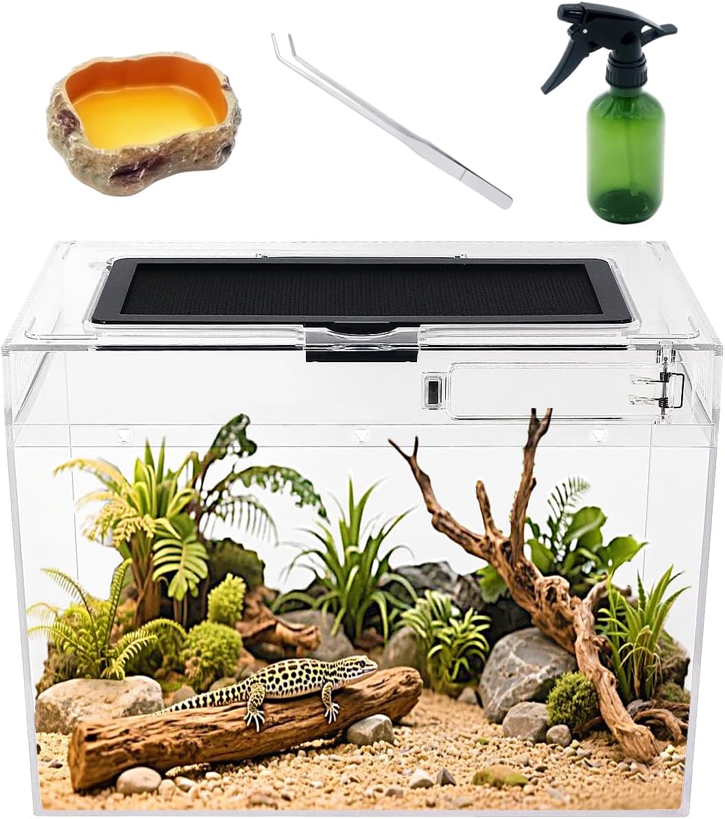 Reptile Growth Mini Reptile Terrarium,12" x 7"x 9" vivarium with Top Sliding Door Screen Ventilation for Small Fish,Insect,Snail,Gecko,Tarantula,Bearded Dragon,Jumping Spider,Stick Insect.