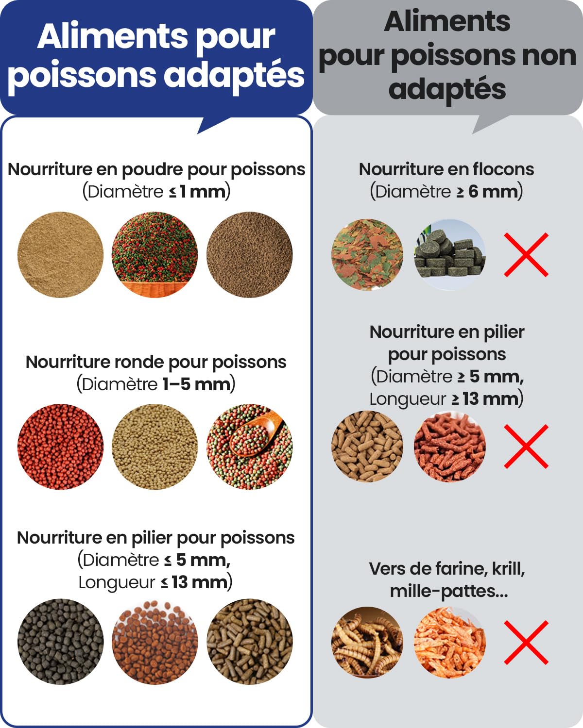 Mangeoire pour Poissons automatiques - Distributeur Automatique de Nourriture WOLMDS avec Caméra 2.5K et Contrôle WiFi/App, 230ml Étanche pour Vacances, Alimentation Précise et Facile (Dark Grey)