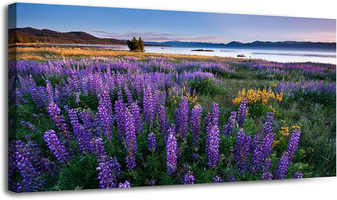 30"x 60" Canvas Wall Art Lake Tahoe Sand Harbor Framed Pictures Painting Prints Large California Wall Art for Living Room Bedroom Abstract Home Wall Decor Artwork