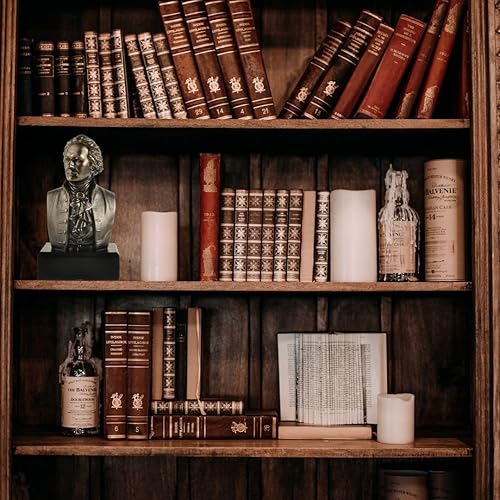 Miniatura 6 de Alexander Hamilton - Recuerdos coleccionables de busto histórico de padre fundador - Colección Great Americans