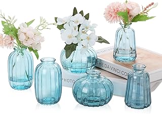 Ezvsevuo Vase, 6 Pieces, Small Glass Vases for Table Decoration, Wedding, Decorative Vases, Mini Vases, Modern Glass Vase Set, Transparent Vintage Flower Vase