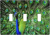 Vista 8 de Cubierta decorativa para toma de corriente de pavo real, cubierta de salida de 1 banda, cubierta de placa de interruptor de luz, placas