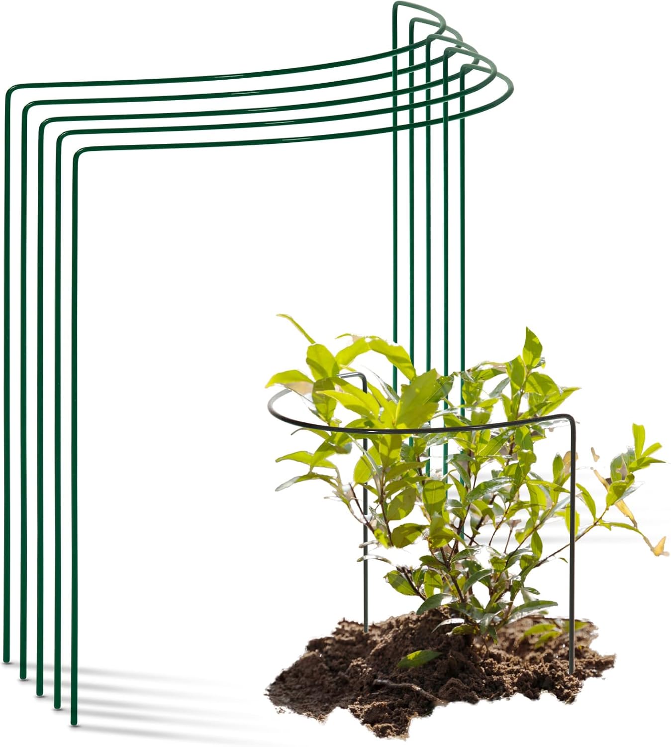 Novatool 5 Strauchstütze Metall halbrund 40 cm Ø35 cm hoch grün