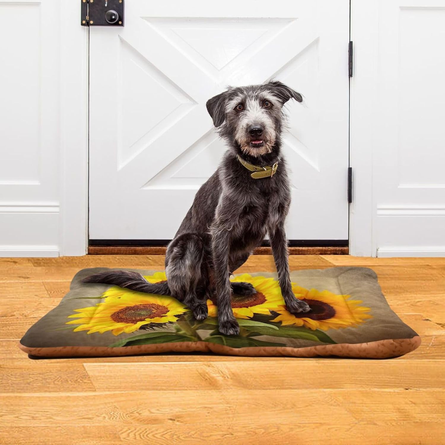 Four Golden Sunflowers Dog Bed Large Dog Beds Outdoor Dog Bed Mat Washable Pet Bed Cat Bed for Sleeping Travel 36" x 24"