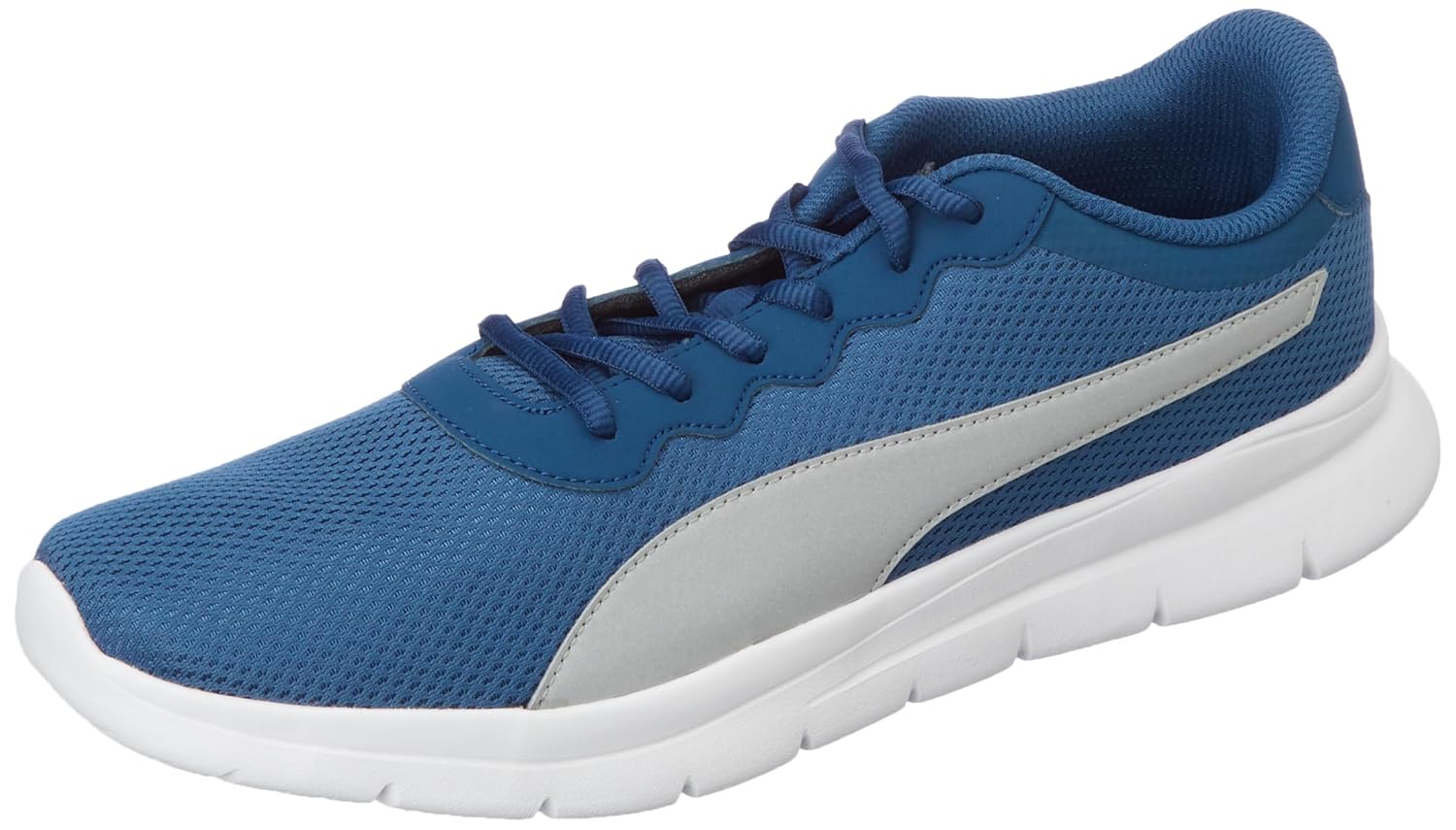 Puma Men Maximal Comfort Walking Shoe