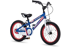 RoyalBaby Kids Bike: A Trusted Companion for Young Adventurers