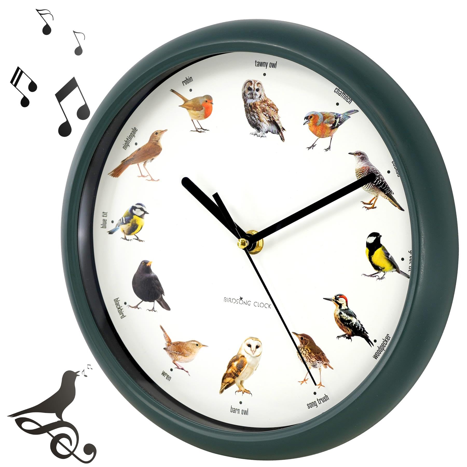 Singing Bird Wall Clock with Native Sounds – 12 Species Including Cuckoo, Robin & Owl – Green Nature-Inspired Design with Auto Night Silence – Educational Novelty for Home, Gift for Bird Lovers