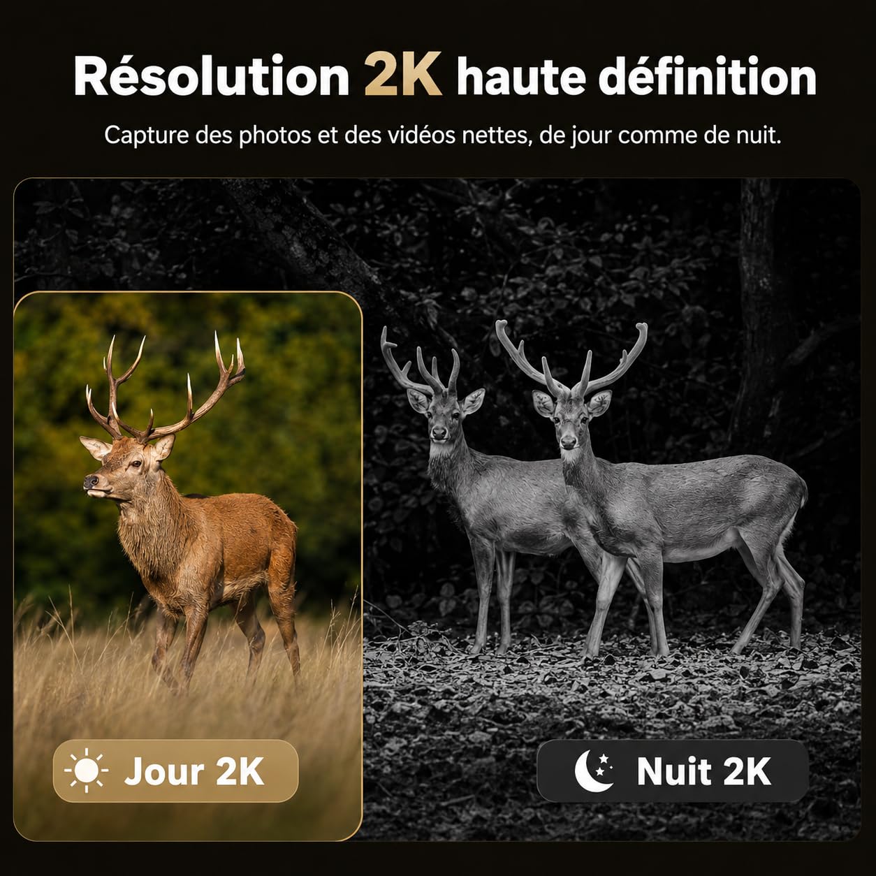 Caméra de Chasse 4G LTE Solaire avec Carte SIM, Caméra de Surveillance Extérieure sans WiFi, Batterie 10400mAh, Vision Nocturne IR Invisible 950nm, Audio Bidirectionnel, Déclenchement 0,2 s, IP66