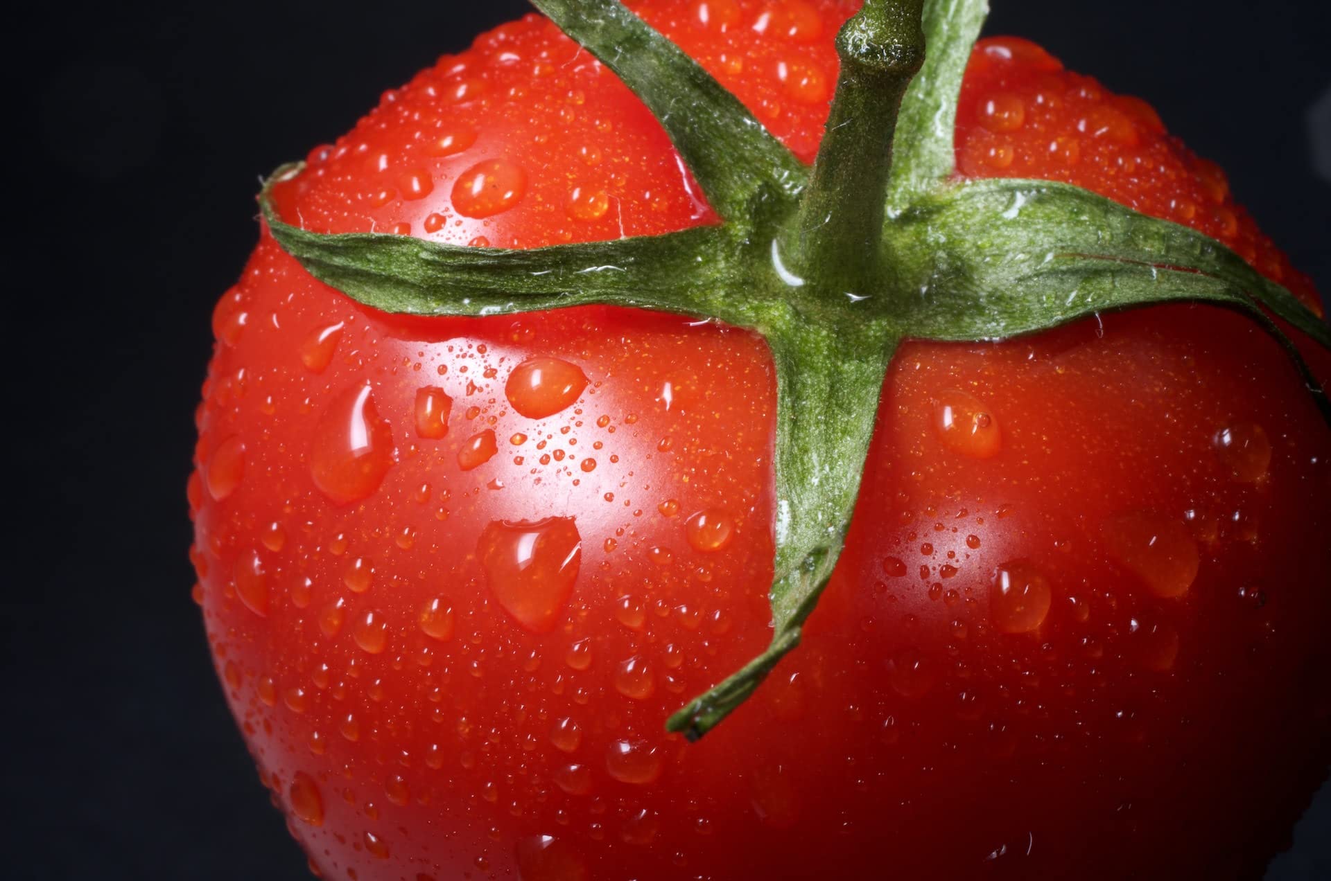 la BIO IDEA Tomatenmark, 24er-Pack (24 x 70g)