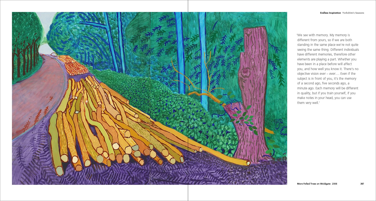 Hockney's Pictures