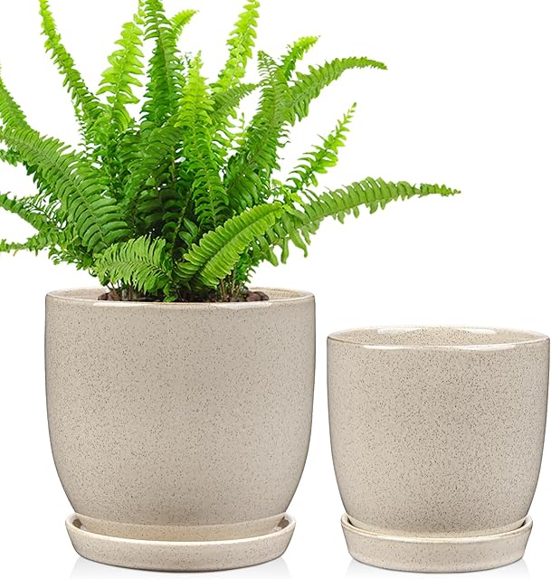 Oairse Set of 2 Ceramic Plant Pots 12CM 15CM Indoor Ceramic Planter with Drainage Holes and Saucers Tray Decorative Flower Pots Garden Pot for Succulent Cactus House Plants