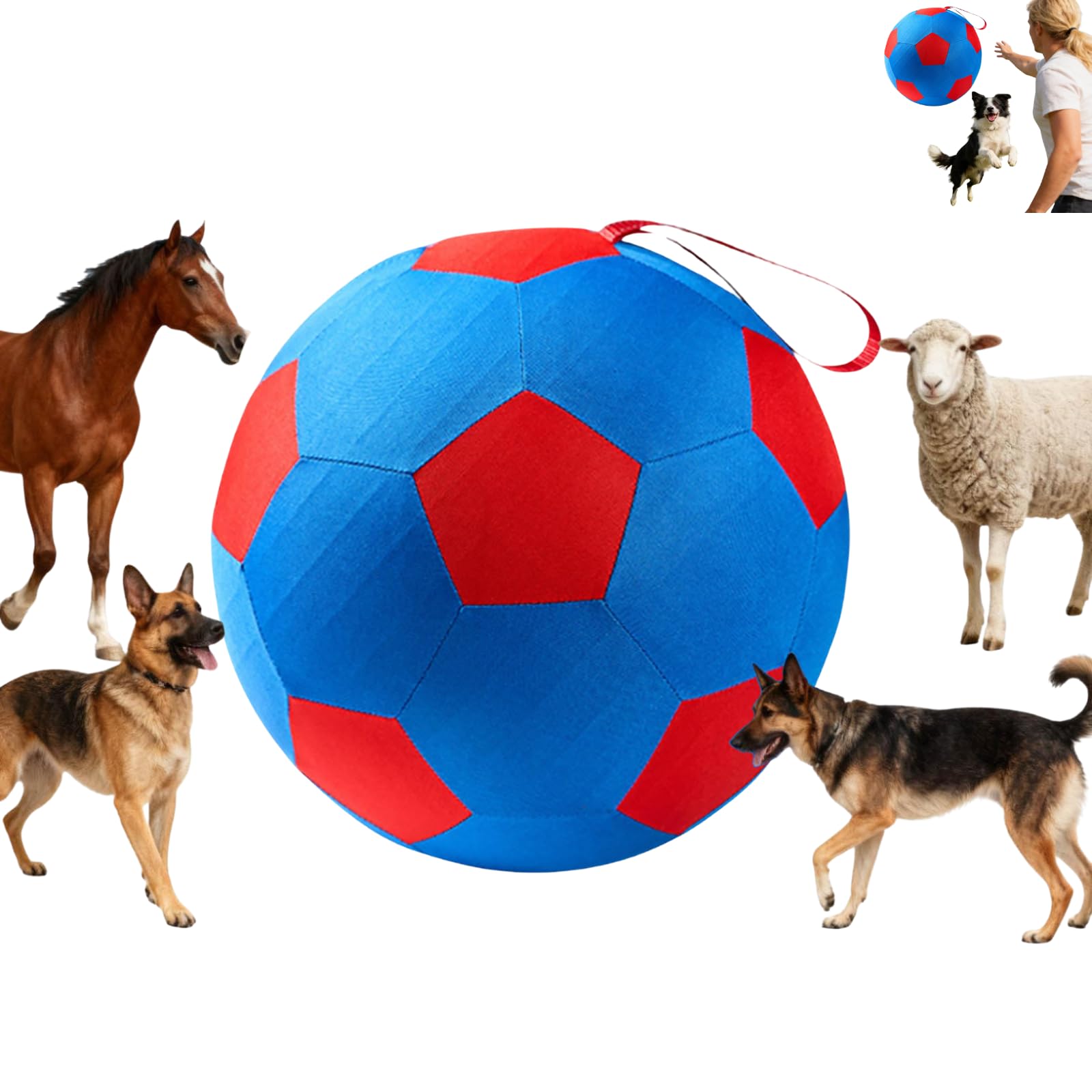 FSFSBLW Herding Ball for Dogs, Calming Pet Toy with Handle, Giant Inflatable Equipment for Border Collies, Tear-Resistant Cover and Pump Included, 25 to 65 cm Options (Red_25cm)