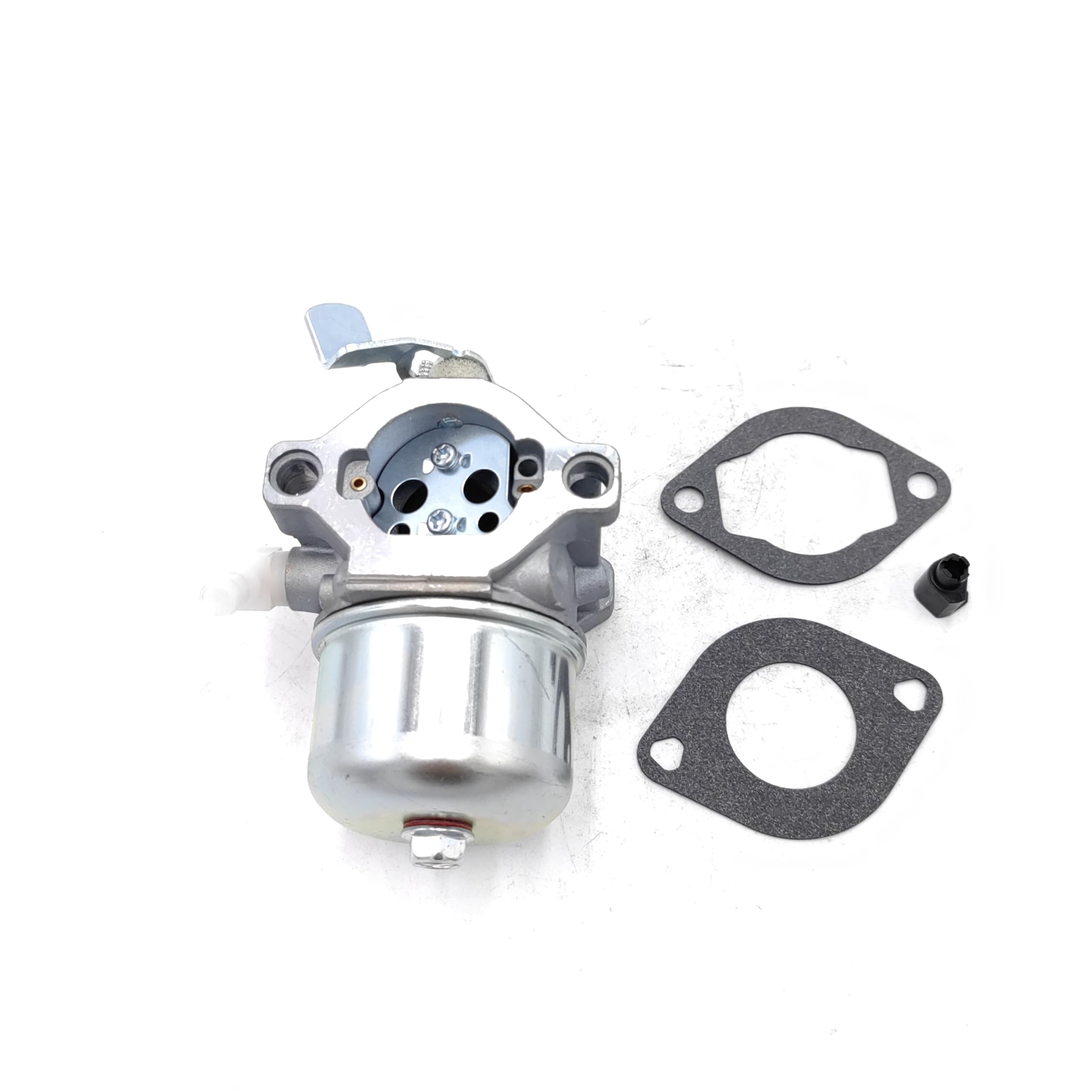 Carburateur Briggs et Stratton 495782 pour stopper les calages de moteur 194702-0113