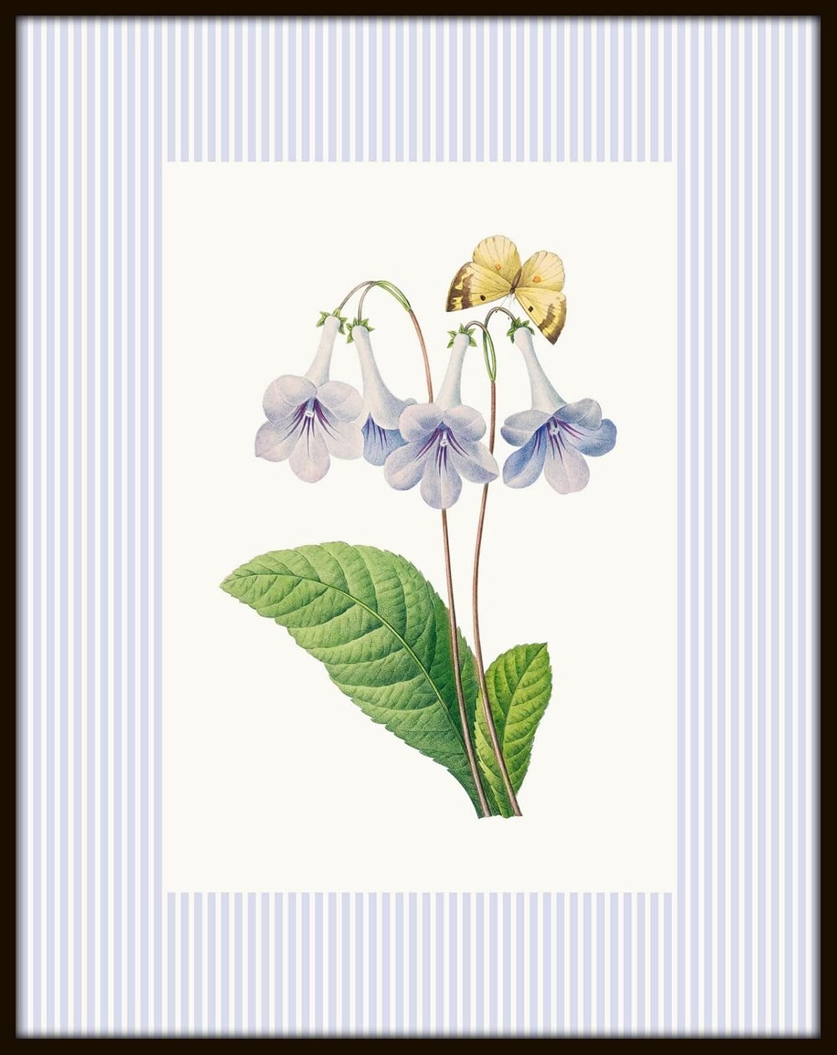 Belle Maison Art Lavender Striped Antique Botanical Collage, Vintage Botanical Wall Art, Bedroom Kitchen Living Room Office, 16X20 SET OF 2, Smooth Matte Paper Prints, Unframed