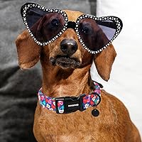 Vista 99 de DOGWONG Collar de perro Airtag de algodón y cáñamo, collar resistente para perros con soporte para Airtag, collares verdes para perros pequeños