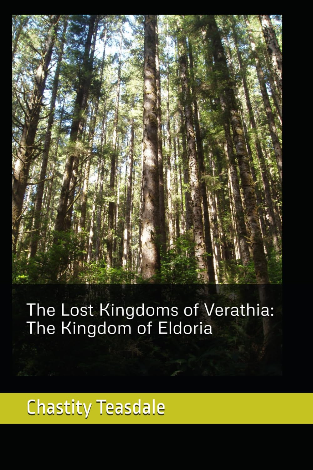 The Lost Kingdoms of Verathia: The Kingdom of Eldoria