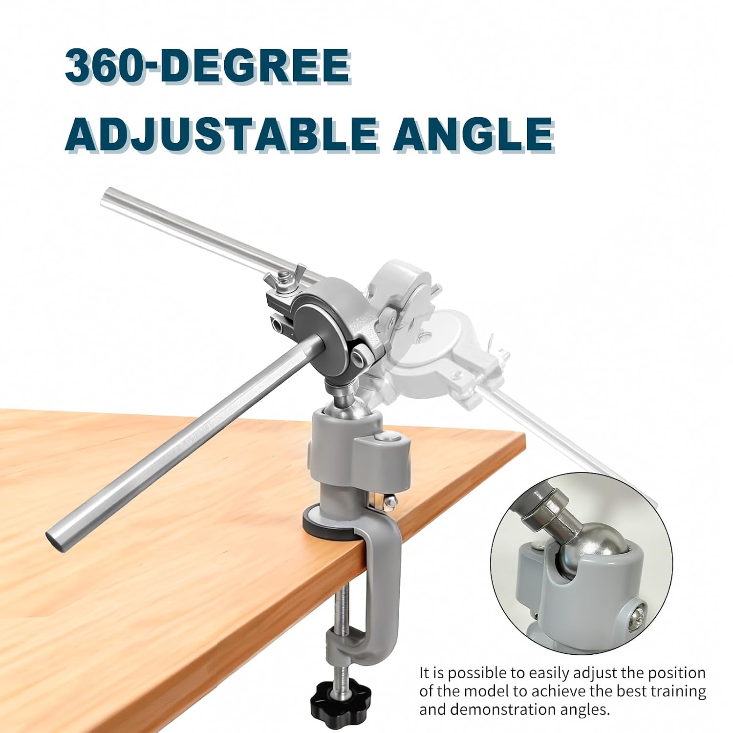 Typodont Training Mount，360° Motion Teeth Model Training Stand Fixed on Desk,Dental Schools Education Practical(Typodont Model is NOT Included)