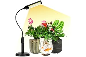 Grow Lamp for Succulents: Nurture Your Plants Indoors