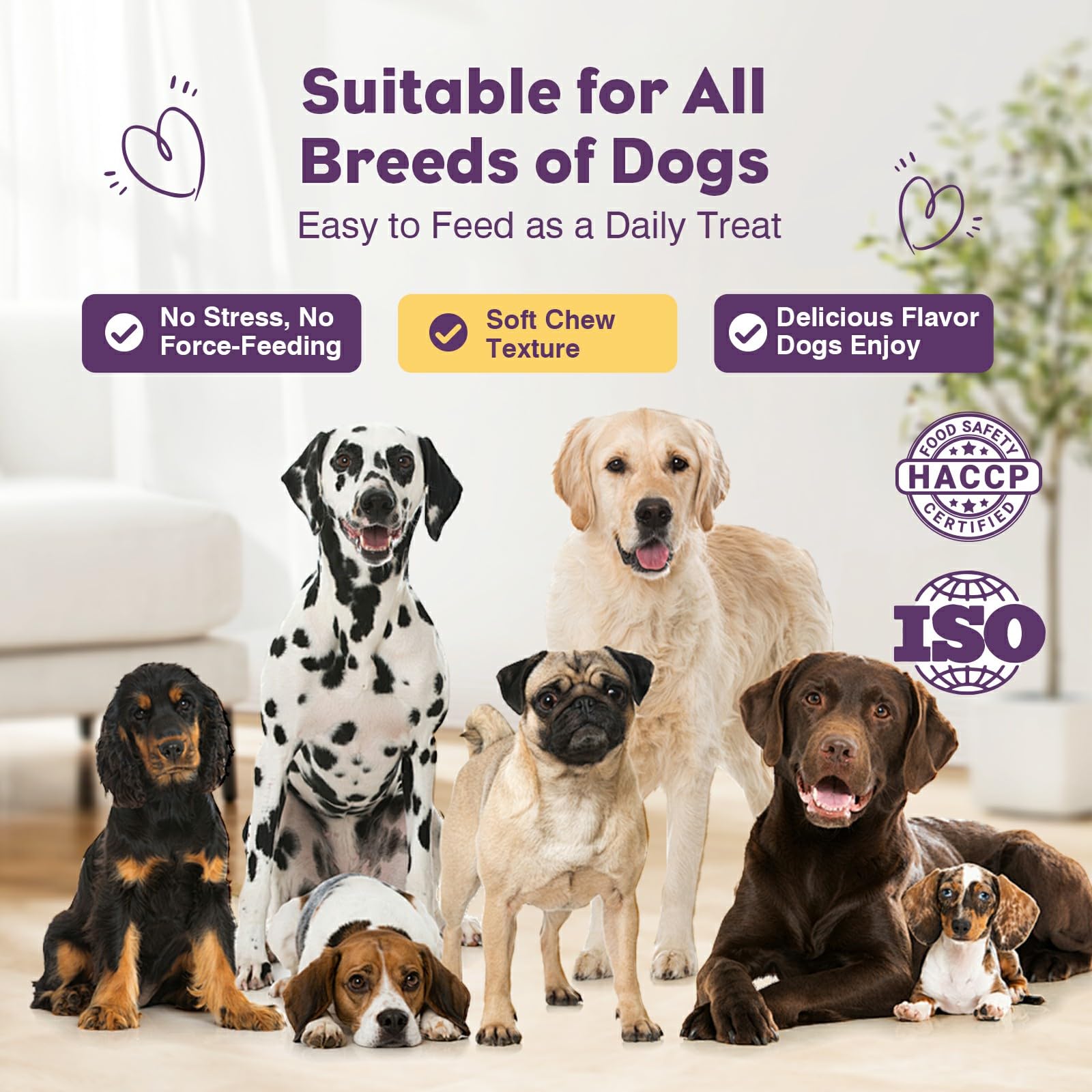 Probiotics for Dogs 200pcs Dog Probiotics for Digestive Health Digestive Enzymes and Prebiotic, Probiotic Chews for Dogs Support Gut Health, Relieve Diarrhea, Itchy Skin, Enhance Immunity — view 7