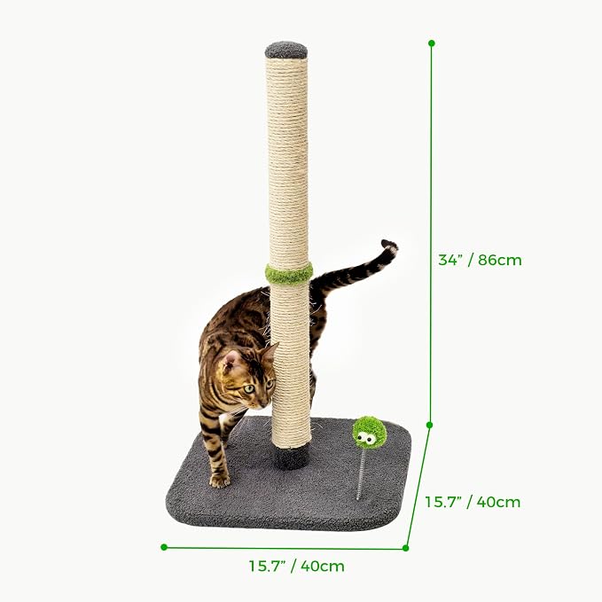 Rascador para gato TINYBEAST de 34 pulgadas con cuerda de sisal miniatura 5