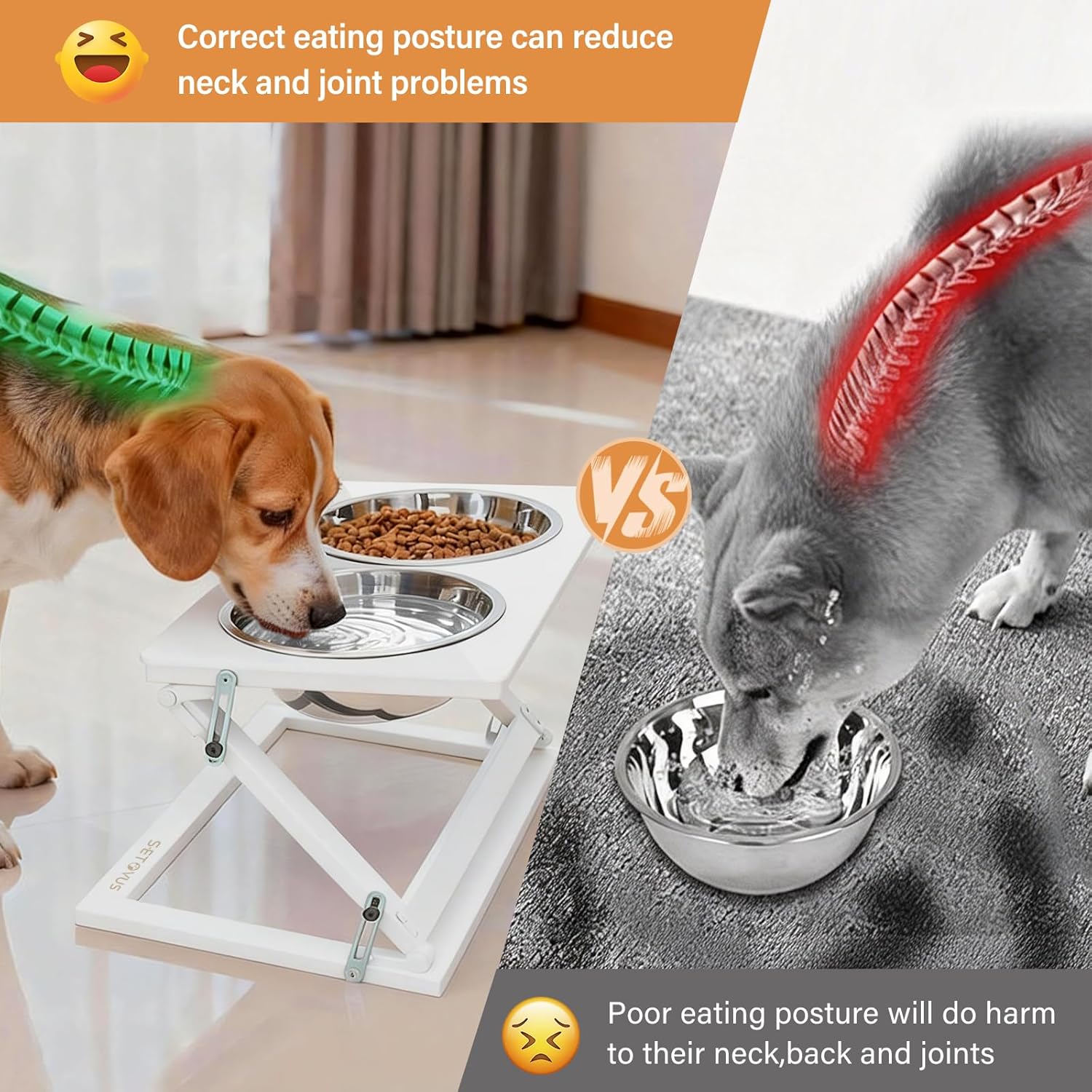 Elevated Dog Bowl, Anti-Slip Feeder, Adjustable Elevated Dog Bowl Stand, 0-20° Tilt Water Bowl with 2 Stainless Steel Food Bowls Dishwasher Safe, Suitable for Small Dogs, Puppies and Cats (White)