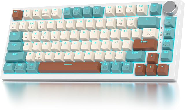 SOLIDEE teclado intercambiable en caliente 75% con perilla