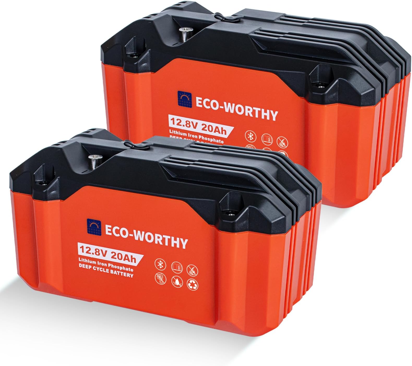 2 Pack Portable 12V 20AH LiFePO4 Battery, Lithium Deep Cycle Rechargeable Battery, Built-in BMS, 4000+ Cycles,Perfect for Outdoor Camping Fishing Marine Trolling Motor Fishfinder RV