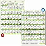 下敷き 小倉百人一首 A4(21×29.7cm) 角丸・両面タイプ 書きやすい 行事 大会 カルタ 正月 Archest