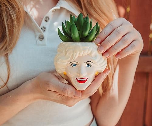 Miniatura 4 de Toynk The Golden Girls Rose - Mini maceta de cerámica de 3 pulgadas con suculentas artificiales