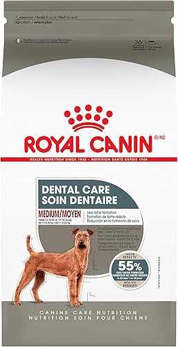 Royal Canin Alimento seco para perros medianos para cuidado dental, bolsa de 28 libras