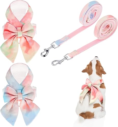 Juego de 2 arnés para perro pequeño y correa para gato, arnés de arcoíris para perros pequeños, arnés para perros pequeños, arnés ajustable de malla