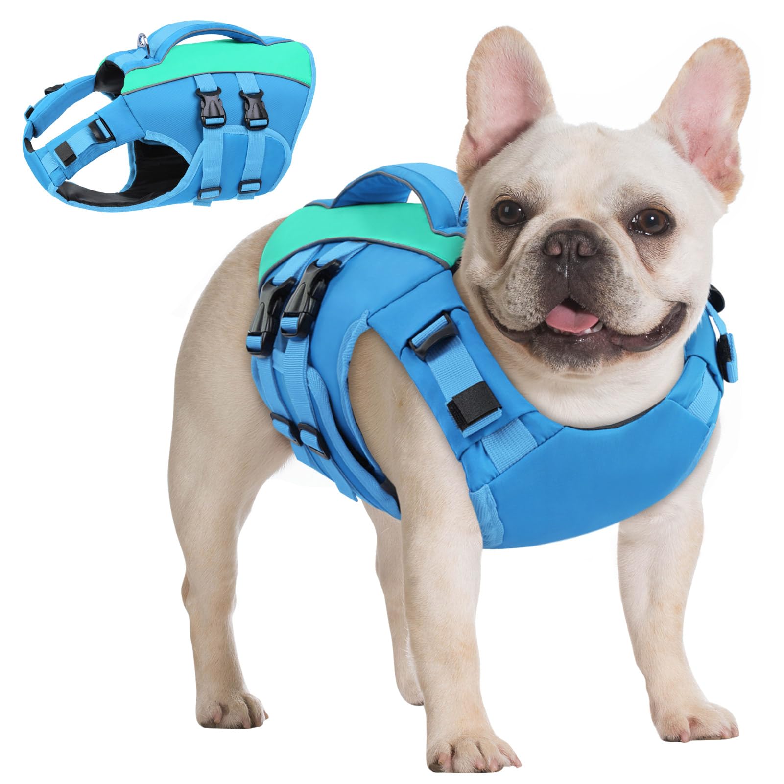 Photo 1 of Queenmore Small Dog Life Jacket,Small Dog Life Vest for Swimming,Adjustable Reflective Dogs Swimming Vest,High Buoyancy Dogs Lifesaver,Pet Life Preserver(Blue,S)