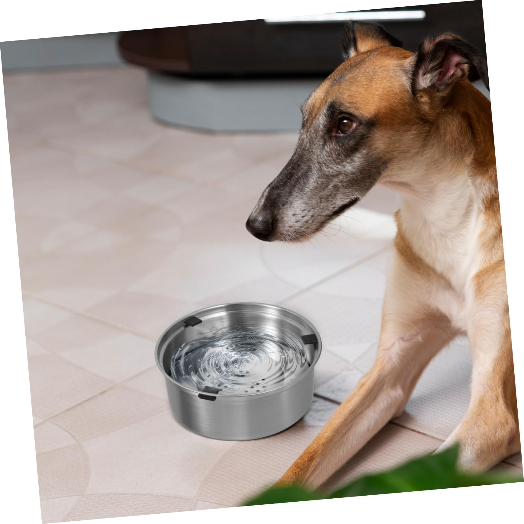 Auslaufsicherer aus Edelstahl Hunde Wassernapf mit Schwimmfunktion | Silber, Rostbeständig mit Langsamtrink Mechanismus, für Hund und Katze, Passend für Welpen