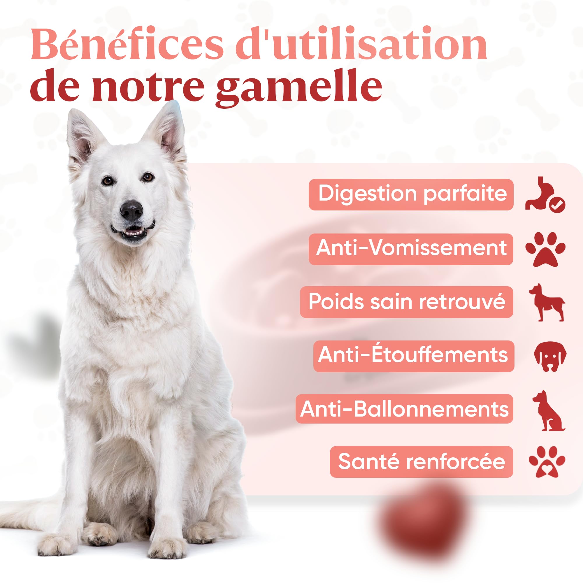 Gamelle Anti Glouton pour Chien de Grande Taille | Bol d'alimentation Lente et Saine, Favorise la Digestion de l'animal, Anti Vomissements, Pieds Antidérapants, Grand et Gros Chien XXL (Grand, Rose)