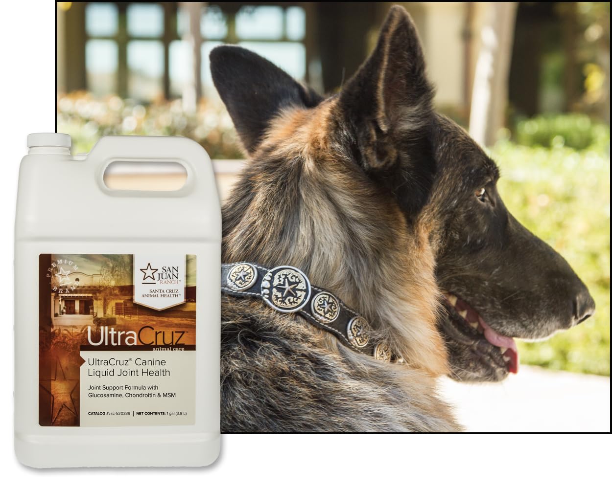 UltraCruz Integratore per la salute delle articolazioni liquide canine, 1 gallone