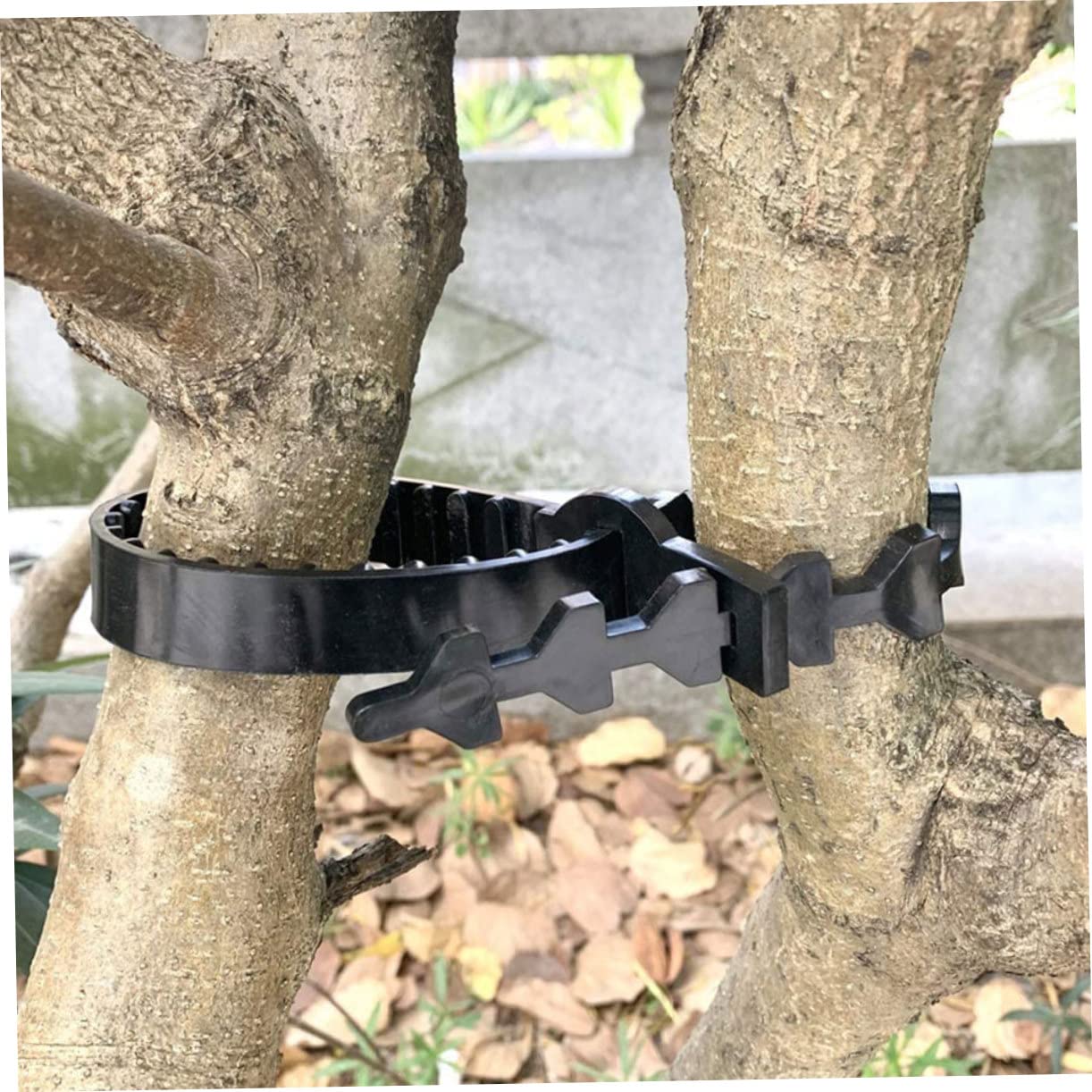 10 Pezzi Cinghie in Gomma per Legare Alberi e Bonsai, Fascette Regolabili per Giardino Esterno, Supporto Sicuro per Piante e Alberi da Frutta Nero