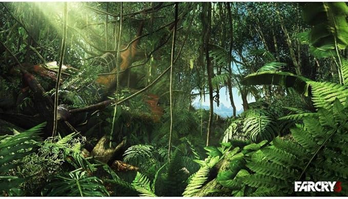 Amazon Far Cry 3 輸入版 アジア Ps3 ゲーム
