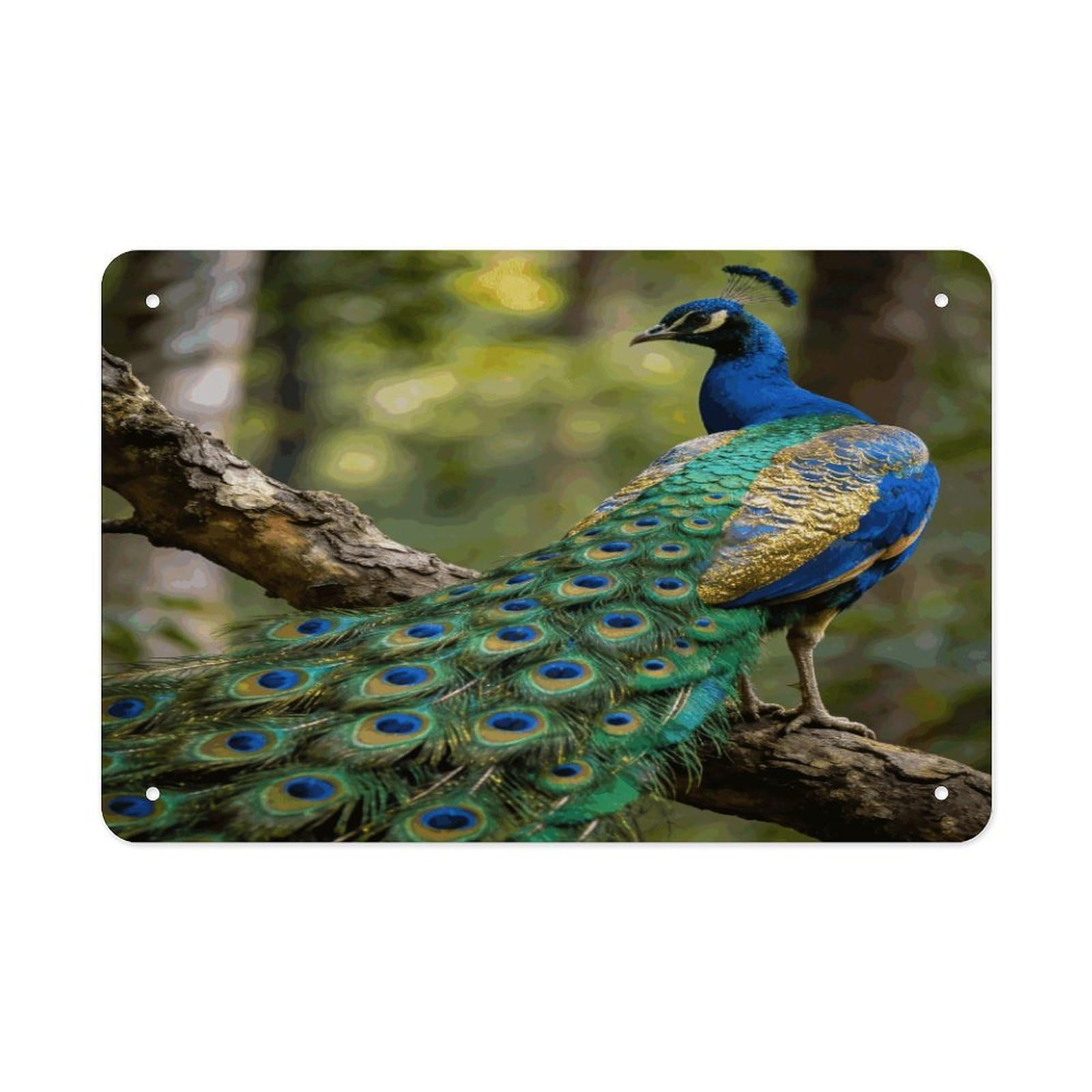 Fodpand Style Colorful Peacock On A Tree Branch Wall Art Metal Tin Signs Bar Metal Tin Sign Wall Decor For Home Living Room Bedroom Toilet Hotel Halloween Decor Gifts 7.9X 11.8 Inch