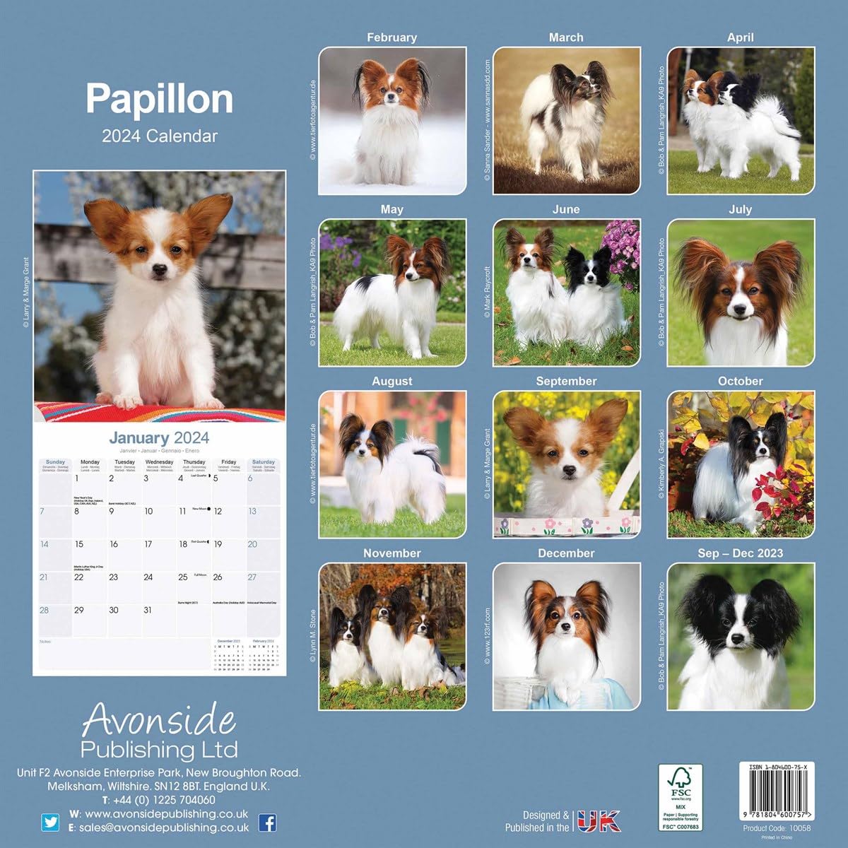 Papillon Calendar 2024 - Image 4