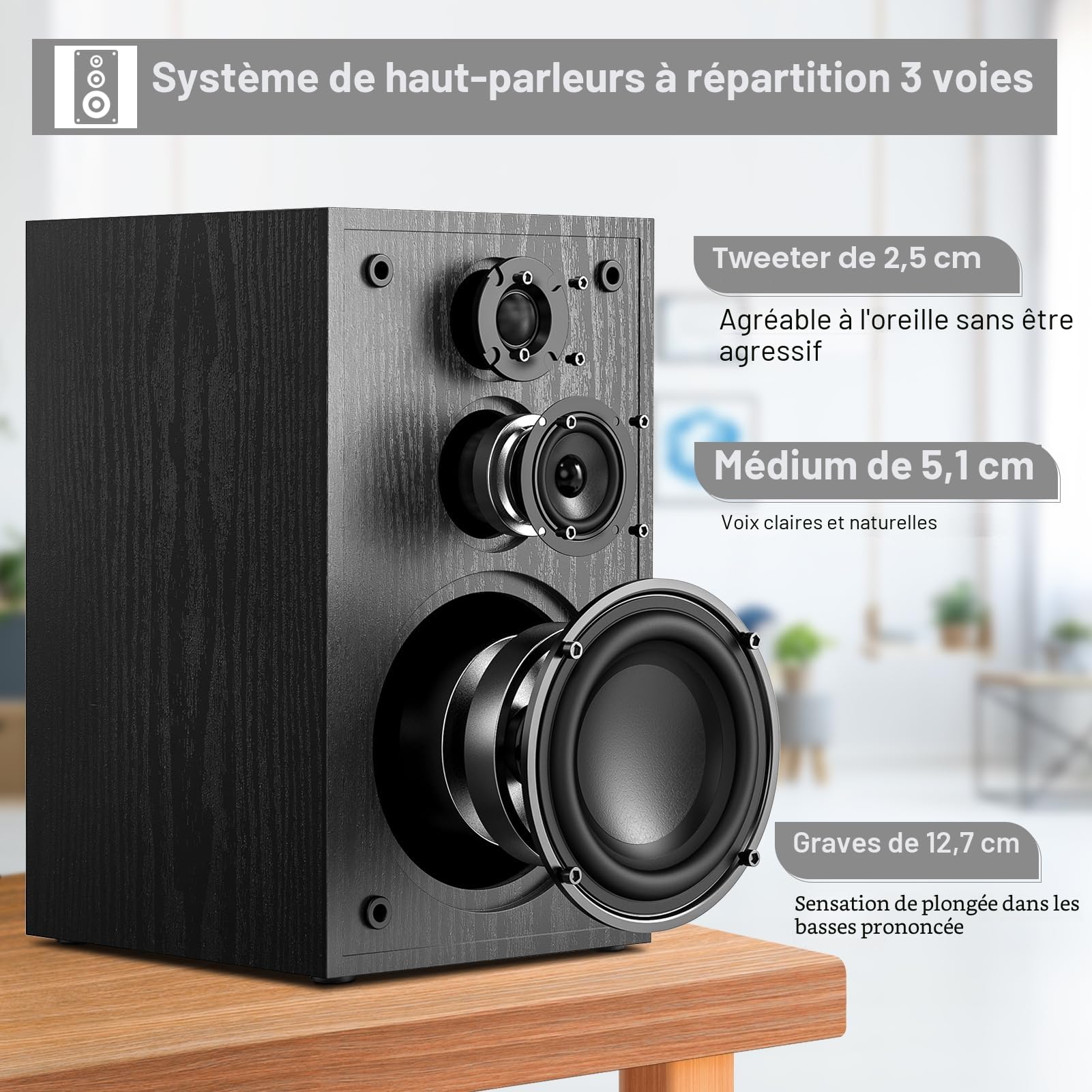 Enceintes Bibliothèques Passives – Puissance 240 W, 2 × 80 W RMS, 3 Voies: Woofer 13,3 · Médian 5,1 · Tweeter 2,5 cm – Pieds Antidérapants & Borniers à Vis pour une HiFi Stéréo Haute-Fidélité(G521-1)