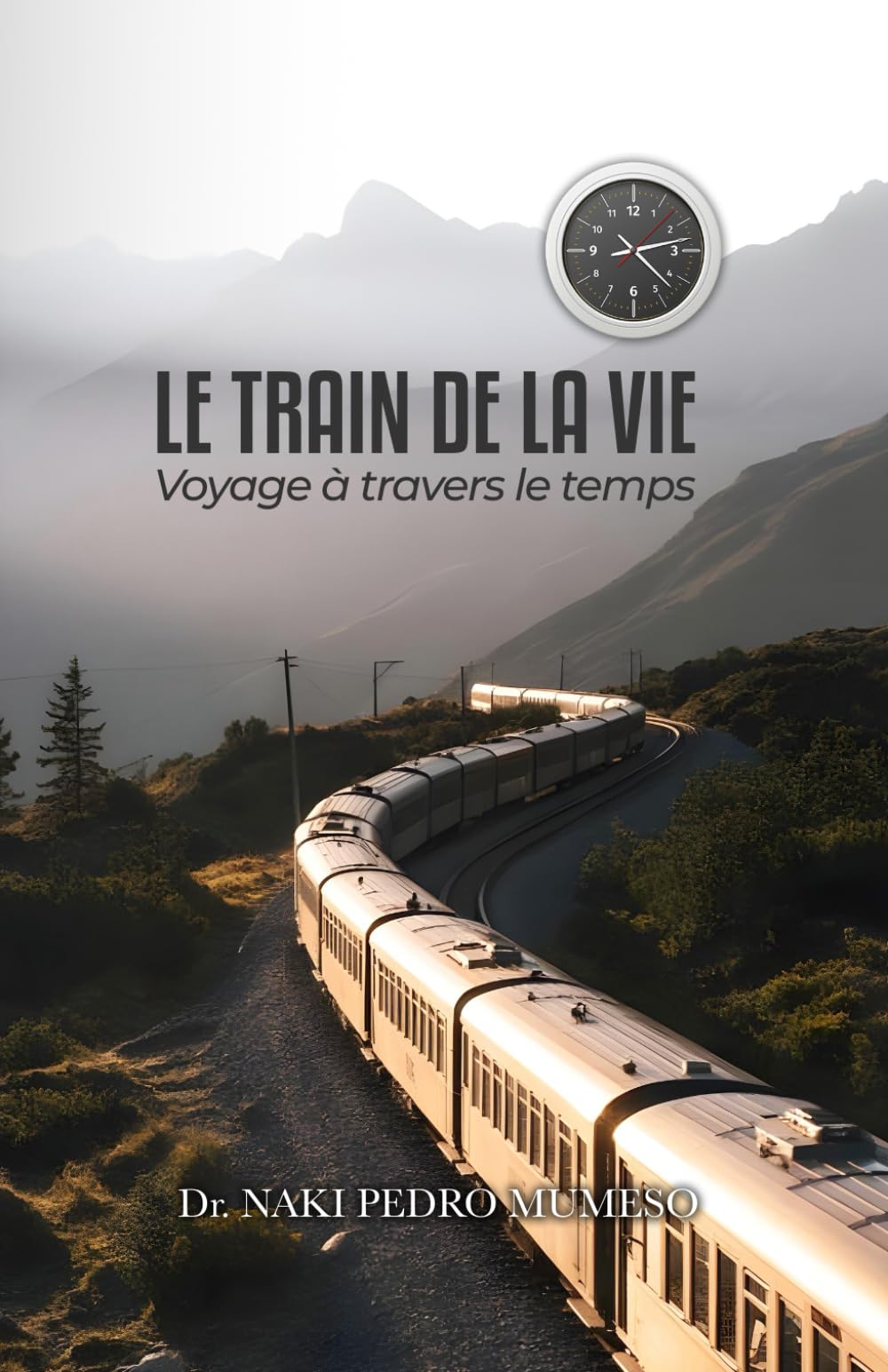 LE TRAIN DE LA VIE: Voyage à travers les temps