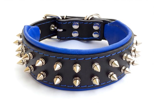 Bestia Frenchie Collar para Perro con Pinchos de Rosca, Cuero, Acolchado