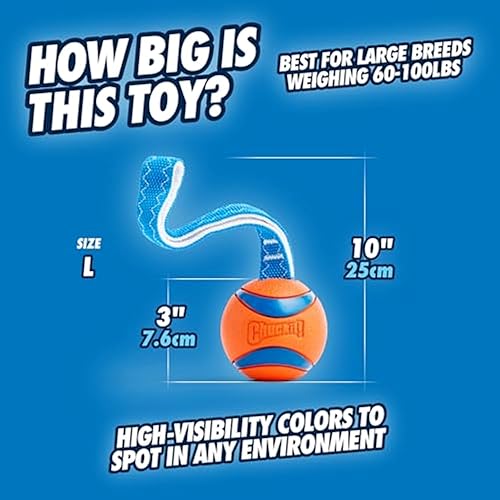 Miniatura 4 de ChuckIt! Juguete para perro ultra tirón