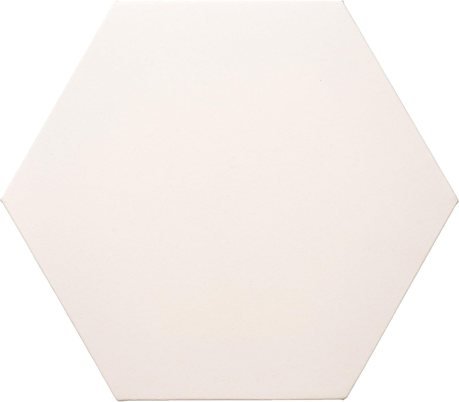Masterpiece Artist Canvas