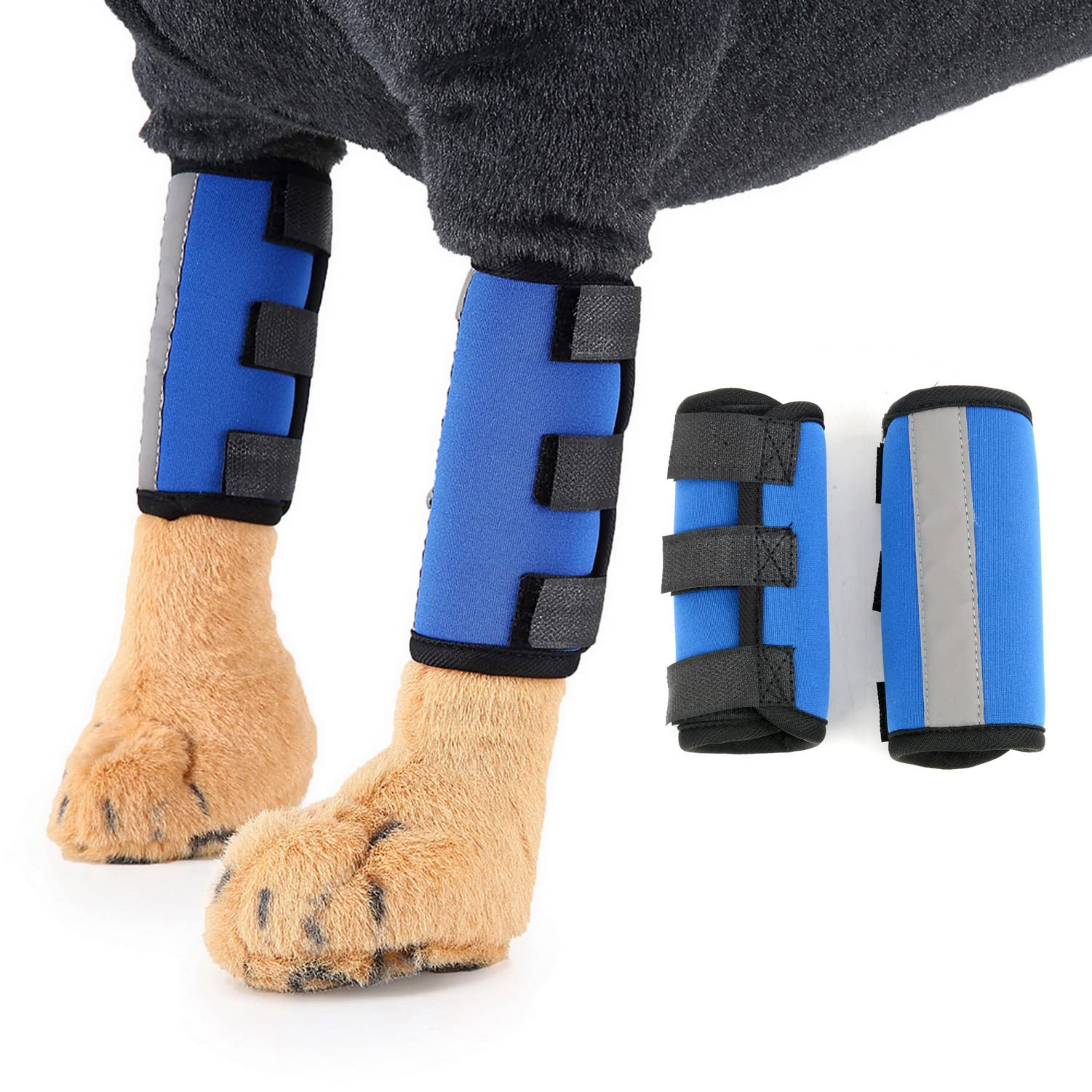 Zunea Dog Front Leg Brace with Safety Reflective Strap Pet Leg Wrap Compression Sleeve Wound Protector Wrist Support for Stability, Injuries and Sprain Healing Blue M