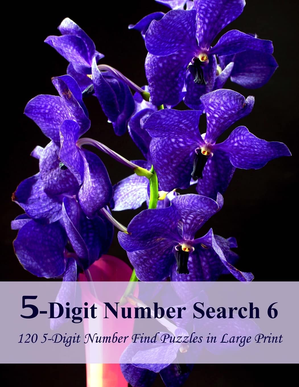 5-digit Number Search: 120 5-digit Number Find Puzzles in Large Print