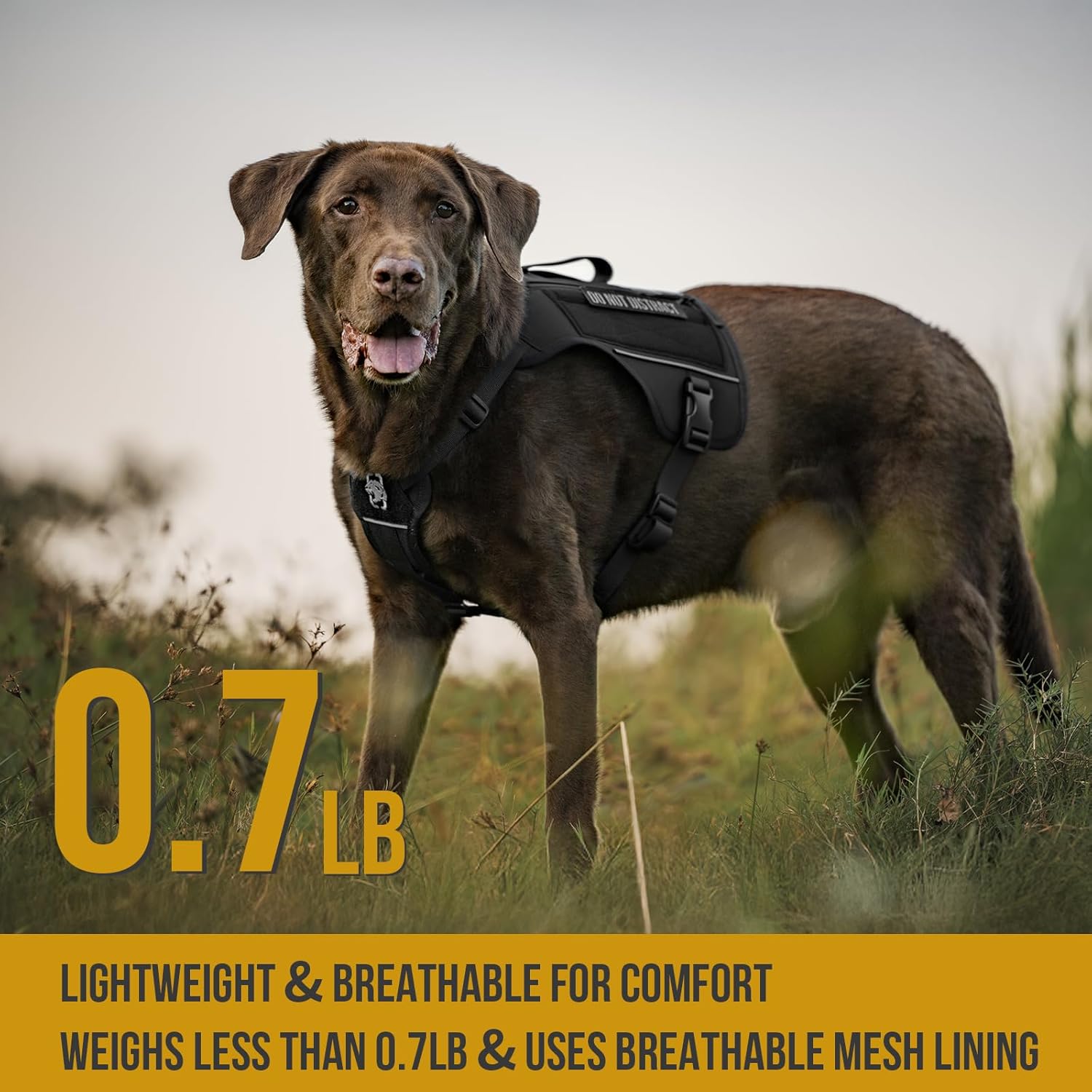 OneTigris Sentinel Pink Service Dog Vest with Patches, Reflective Lightweight Service Dog Harness with Pockets for Medium Large Dogs (Black, M: Neck 16-23", Chest 24-32")