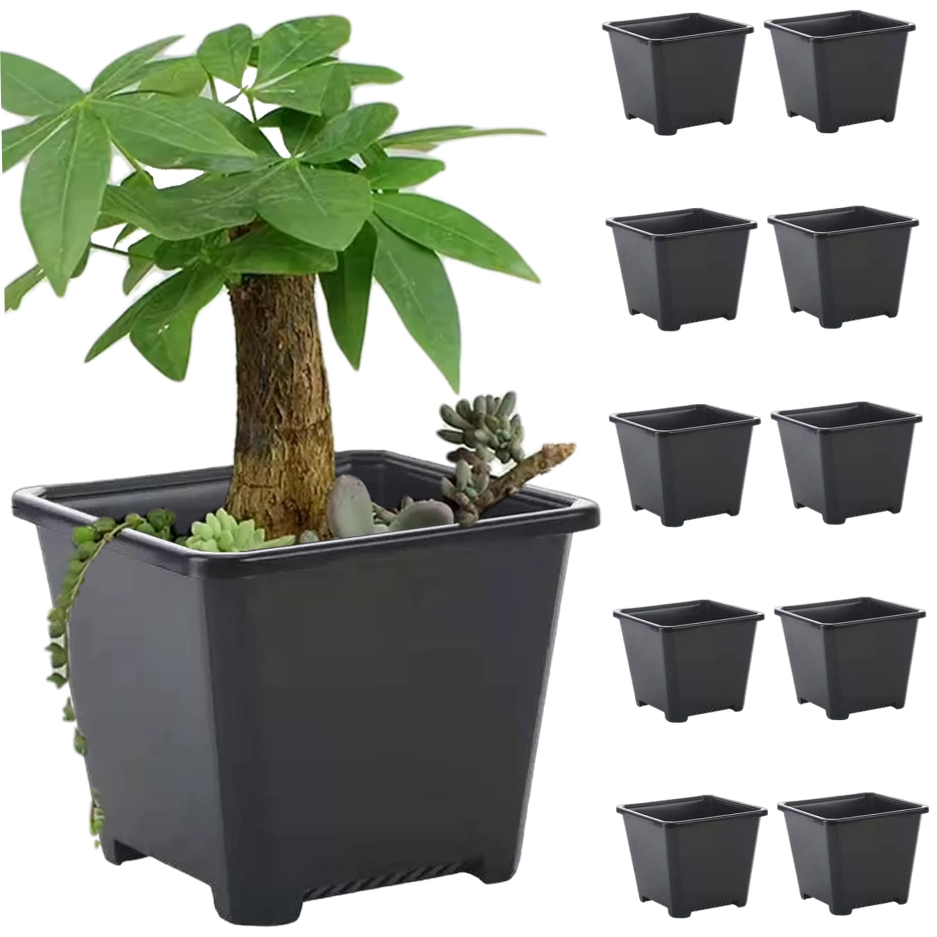 Pots de pépinière carrés en plastique léger lot de 10 pour légumes