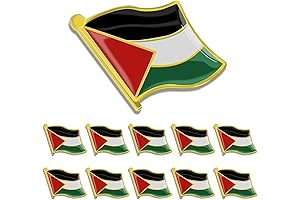 Patriotic Palestinian Flag Pin